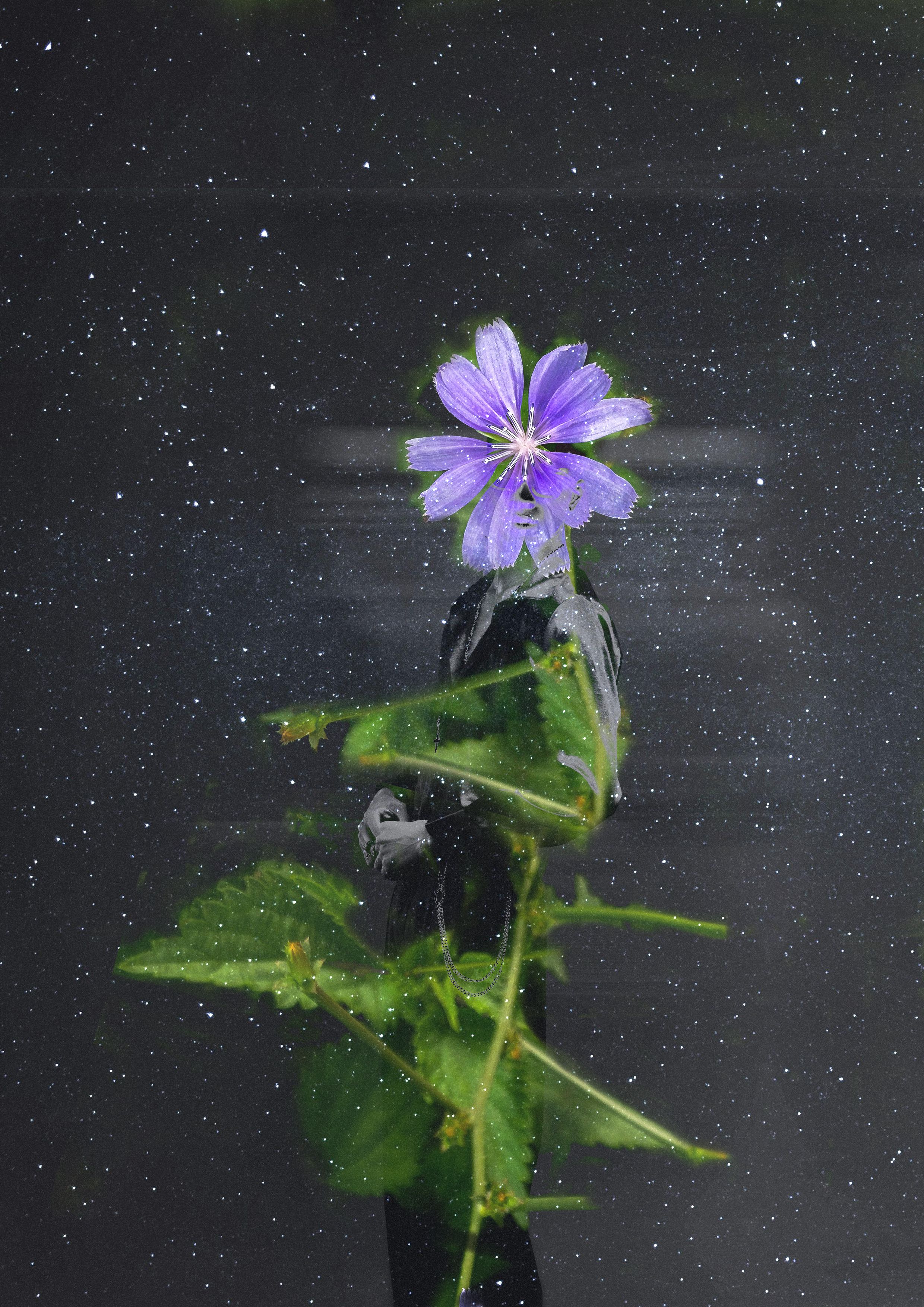 A moment in the spring meadow