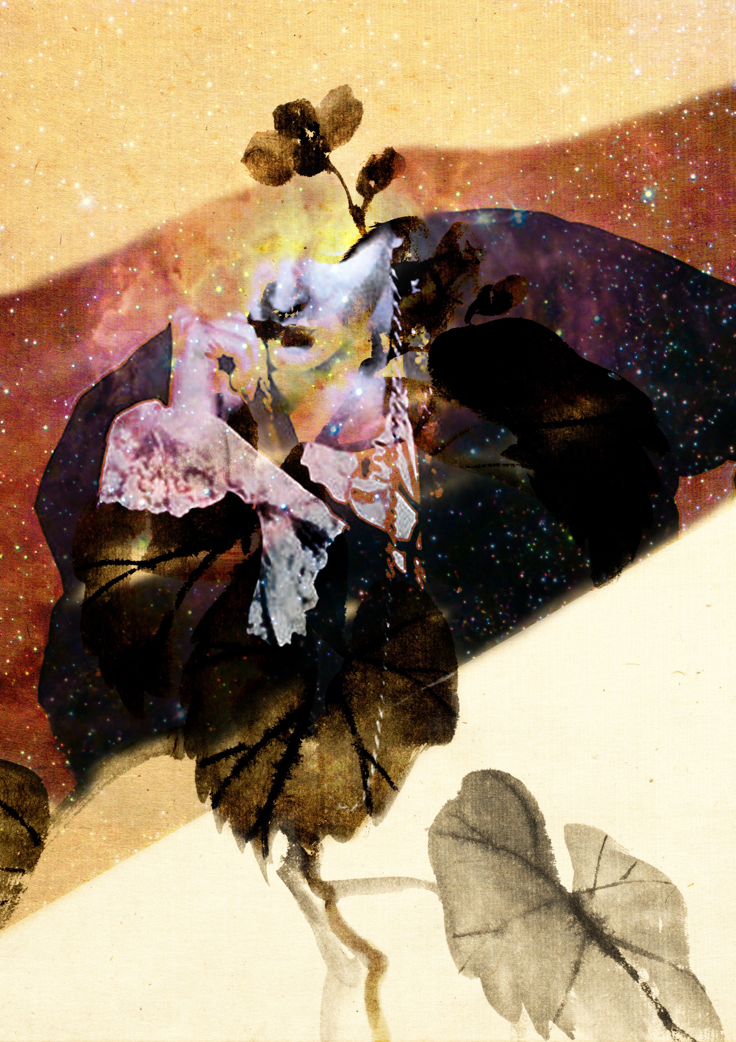 Watching the world burn